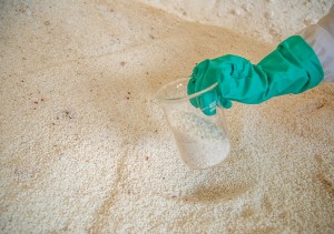Shipping Fertilizer