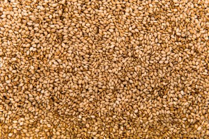 Shipping Grain