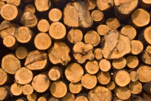 Shipping Wood